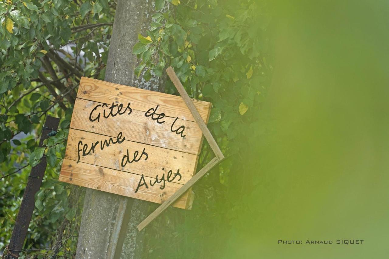 Gite Familial Ferme Des Aujes Falaen Onhaye Exterior photo